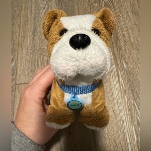 American girl dog Meatloaf